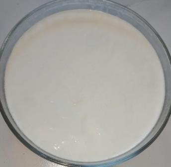 Homemade Dahi Making of Curd 9