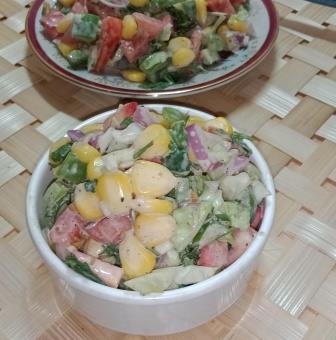 Mayonnaise Veggie Salad Recipe in Hindi 