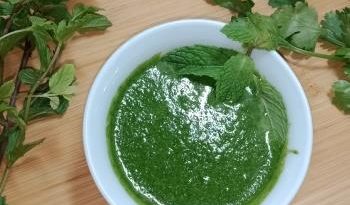 Mint Chutney Recipe