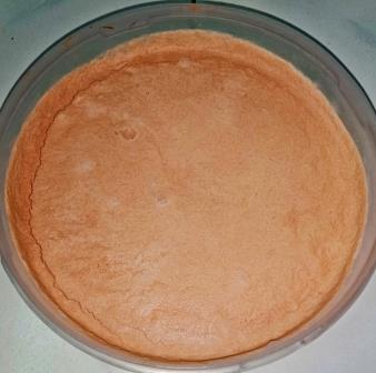Chocolate ice cream Recipe in Hindi