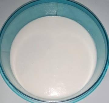 Vanilla Ice Cream Recipe in Hindi