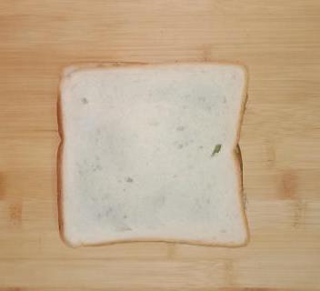 mayonnaise sandwich 4