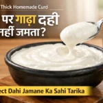 Perfect Dahi jamane ka sahi tarika – घर पर बना गाढ़ा और मलाईदार दही